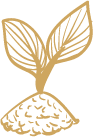 Icon Pflanze